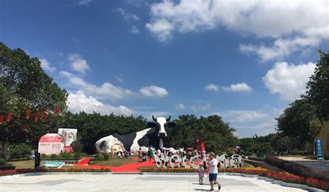 龍崗到光明農場的多樣路徑探索：從地標導航至綠色田野的旅程